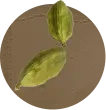 Cardamom