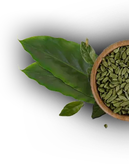 Spices