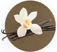 Vanilla